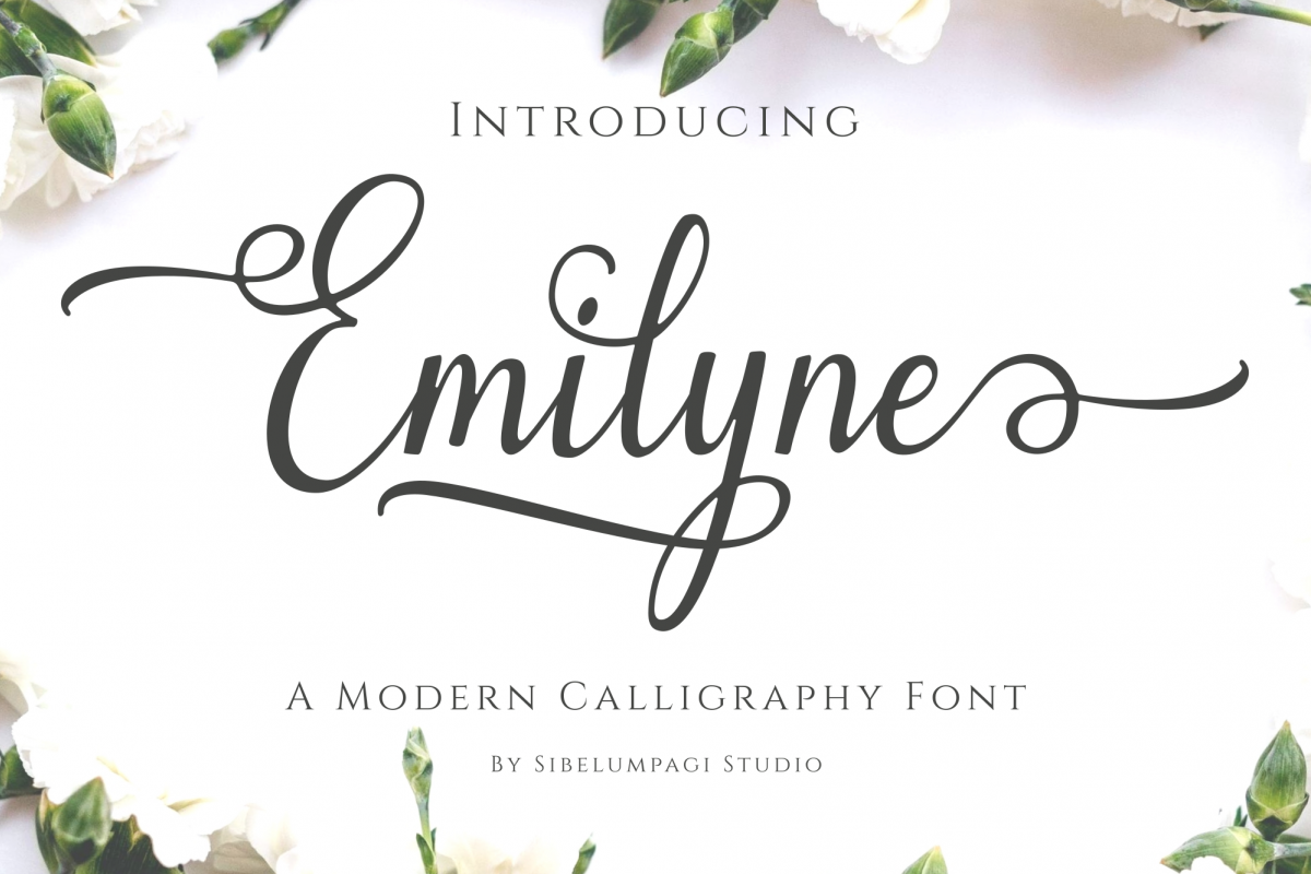 Emilyne example image 1