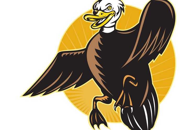 angry mallard duck flying front. example image 1