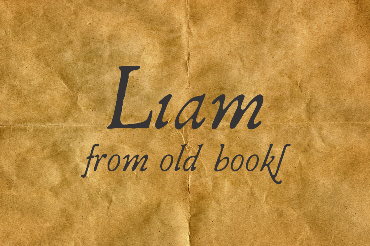 Liam example image 1