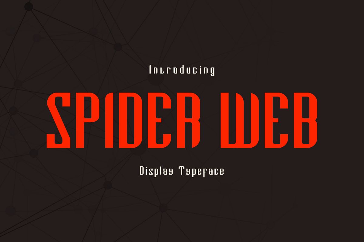 Spider Web example image 1