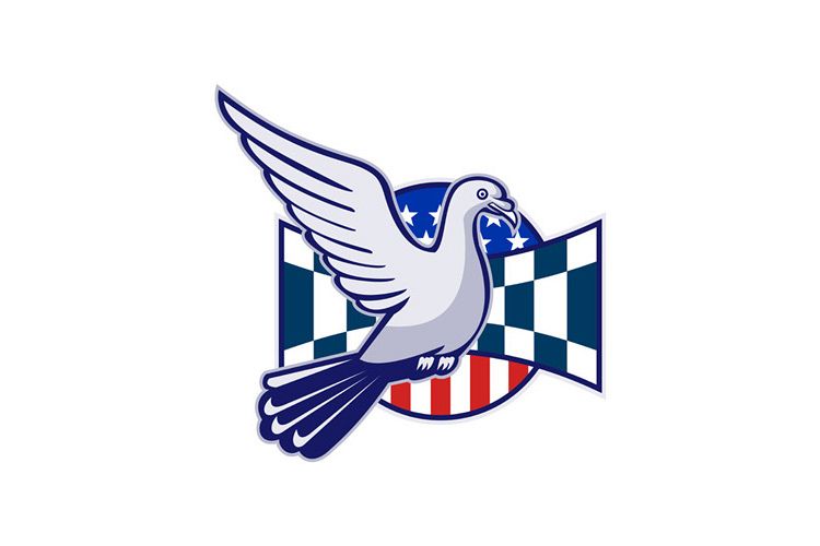 Racing Pigeon Race Flag American Stars Stripes example image 1