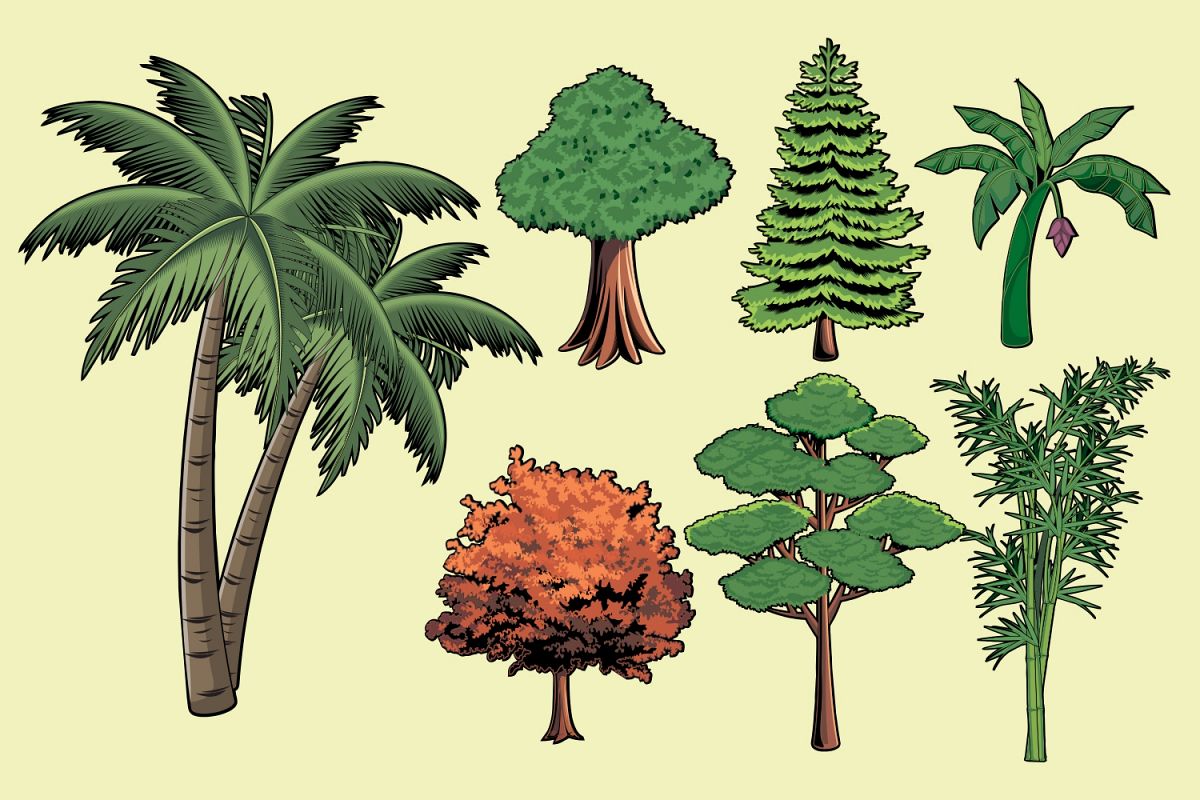 Trees Vector Pack example image 1