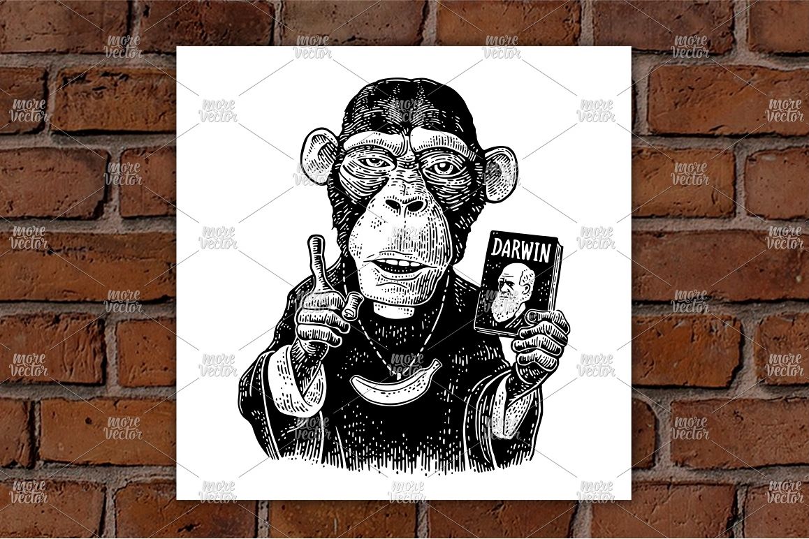 Monkey priest in a cassock with book Darwin. Engraving example image 1