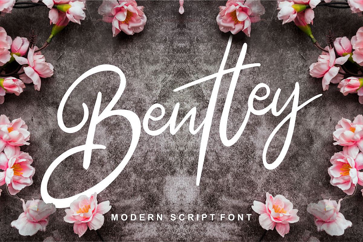 Bentley | Modern Script Font example image 1