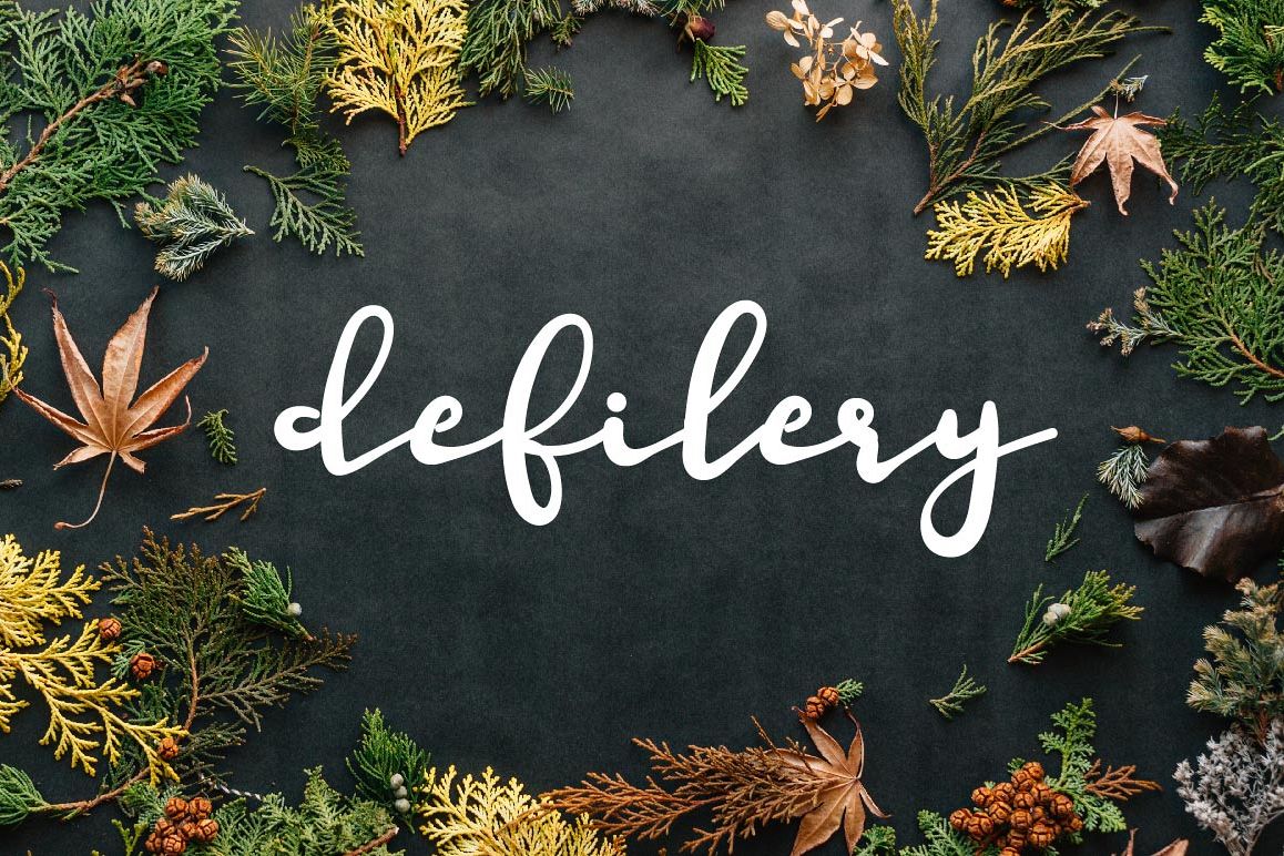 Defilery Script Font example image 1