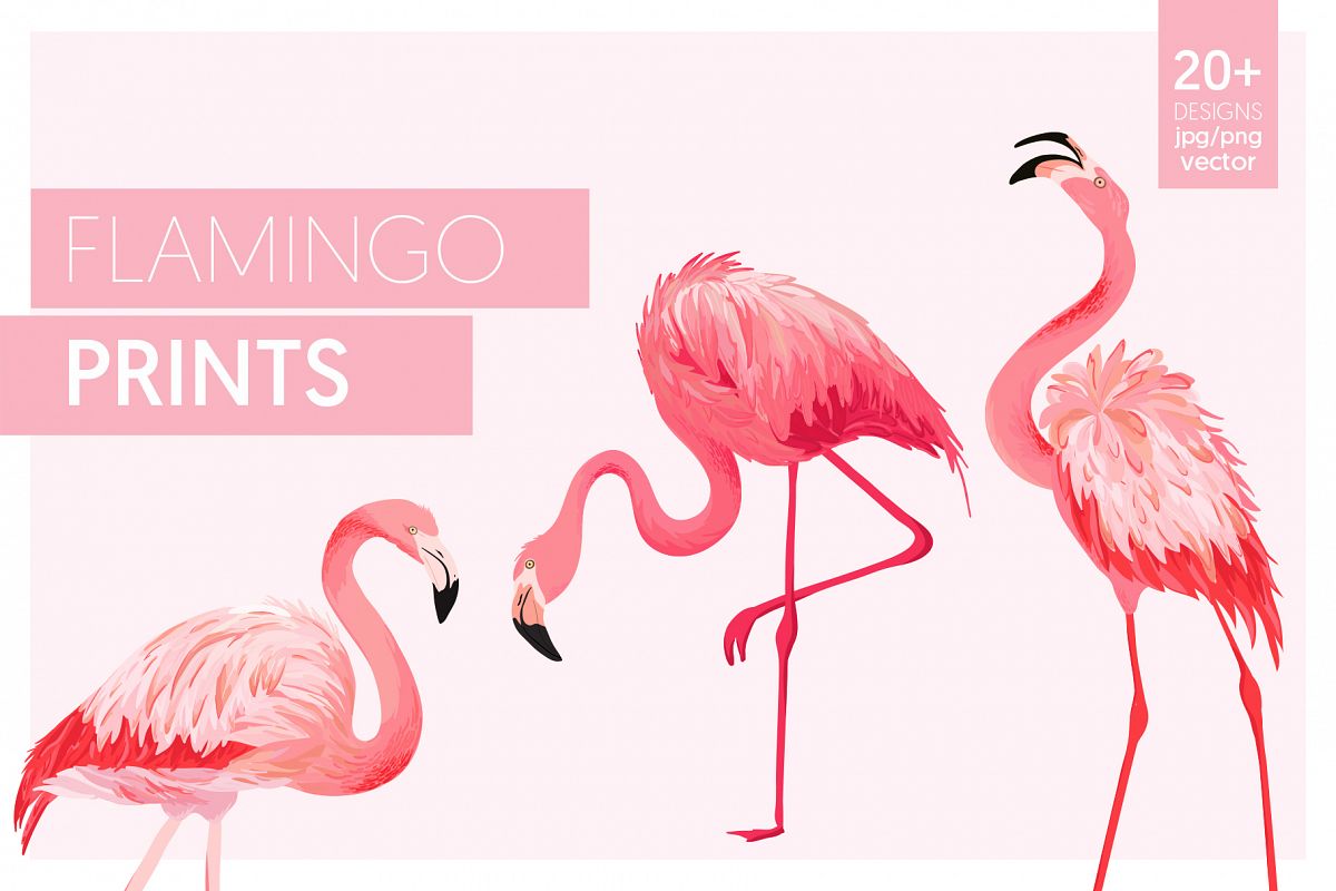 Flamingo and Flowers Design Kit example image 1