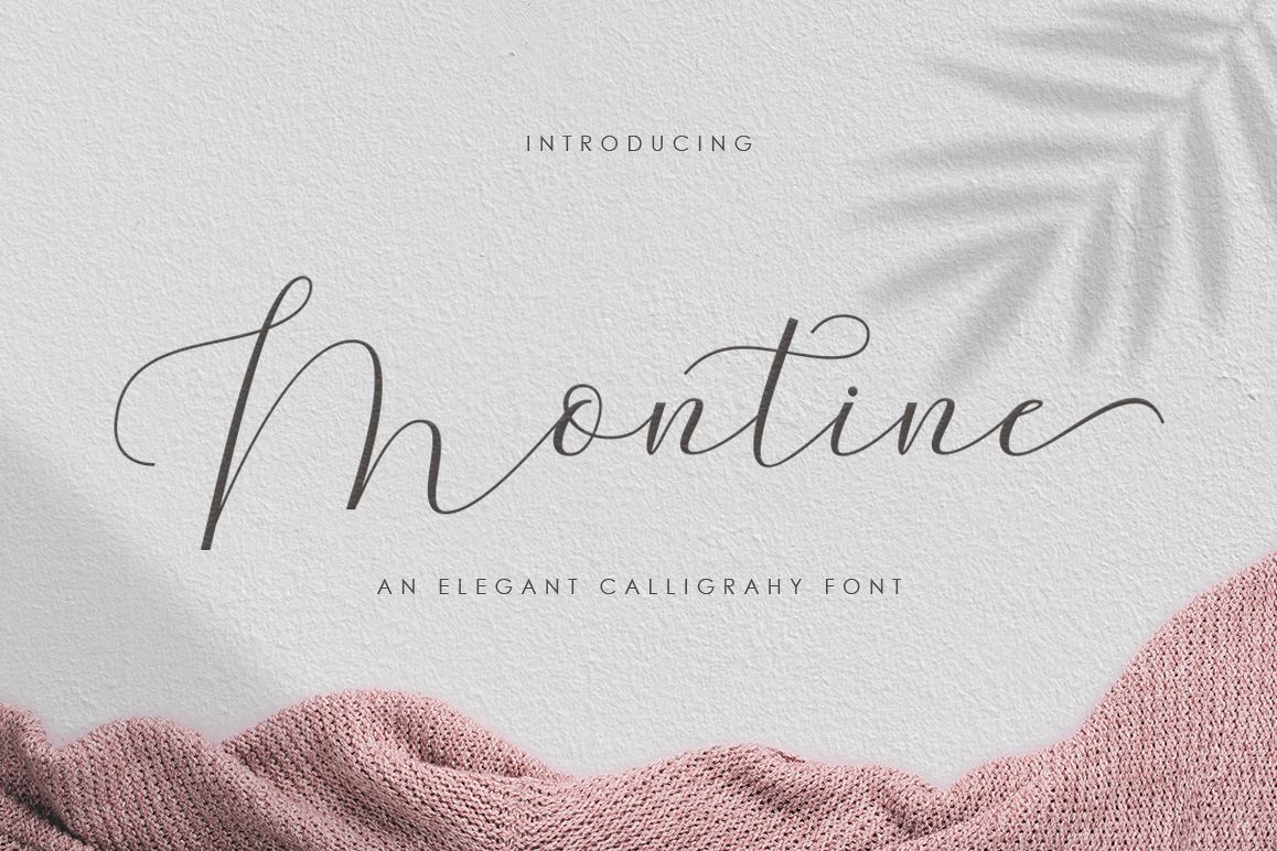Montine Script example image 1