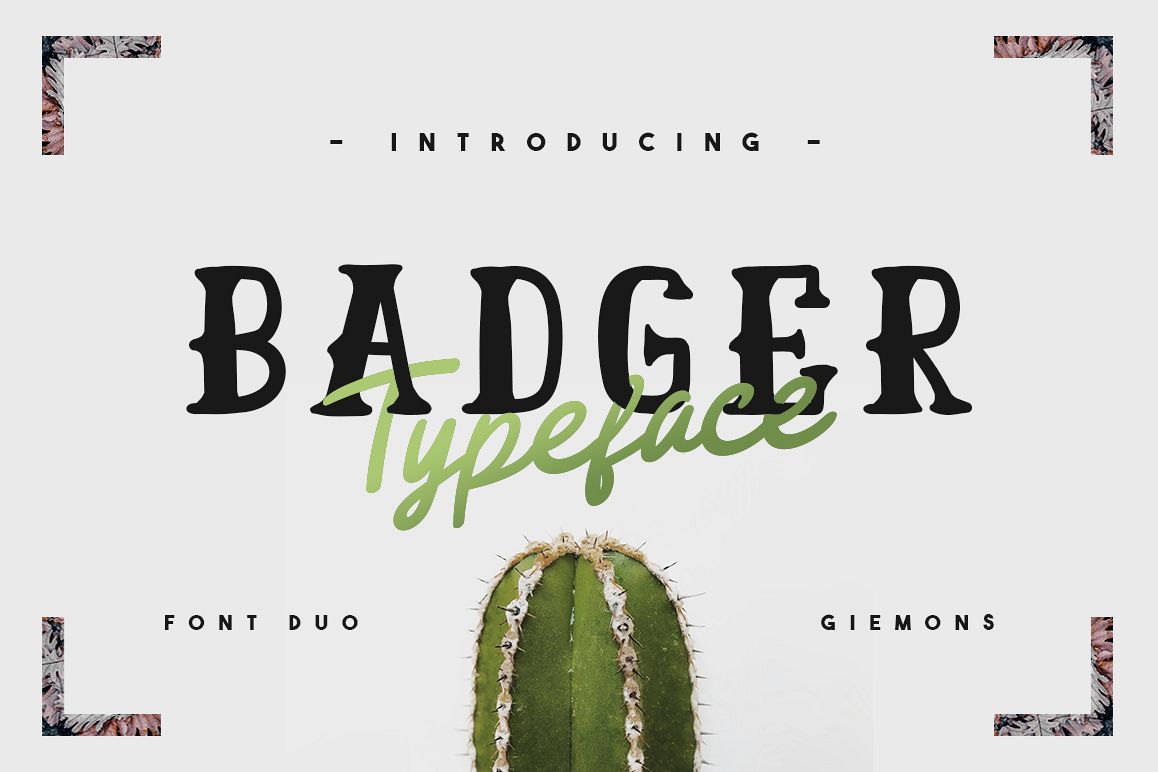 Badger Font Duo example image 1