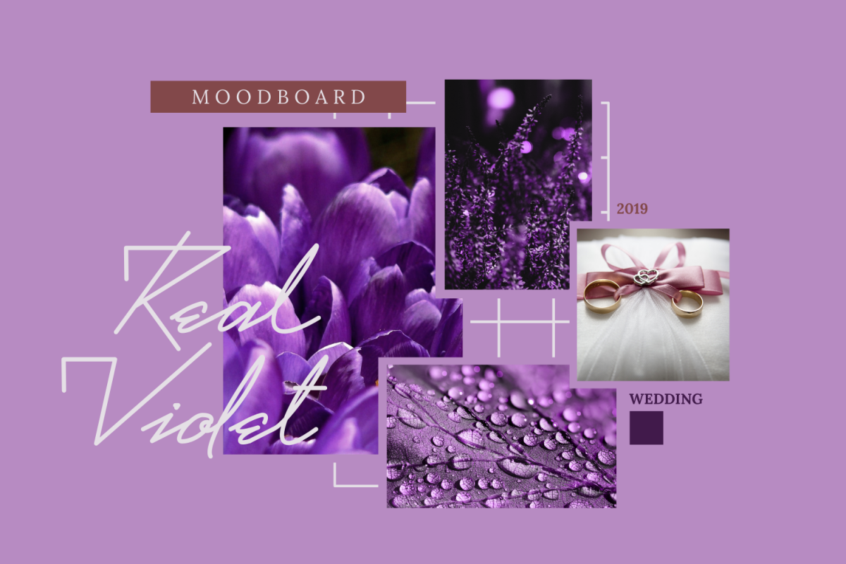 Real Violet example image 1