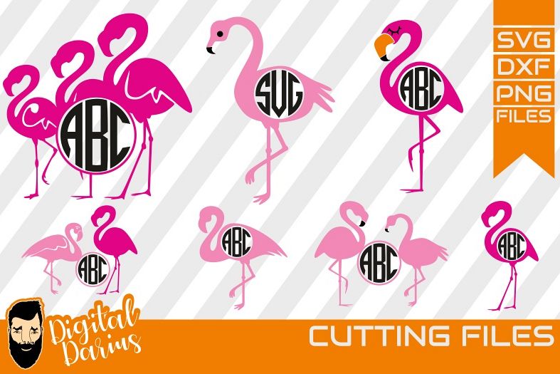 7x Flamingo svg , bird svg, Monogram, Beach Svg, Animal Svg example image 1
