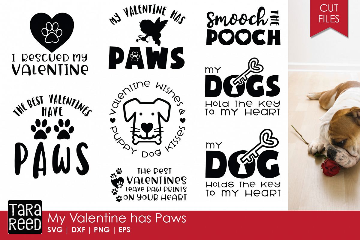 Download My Valentine has Paws - Valentine's Day SVG Files (168528 ...