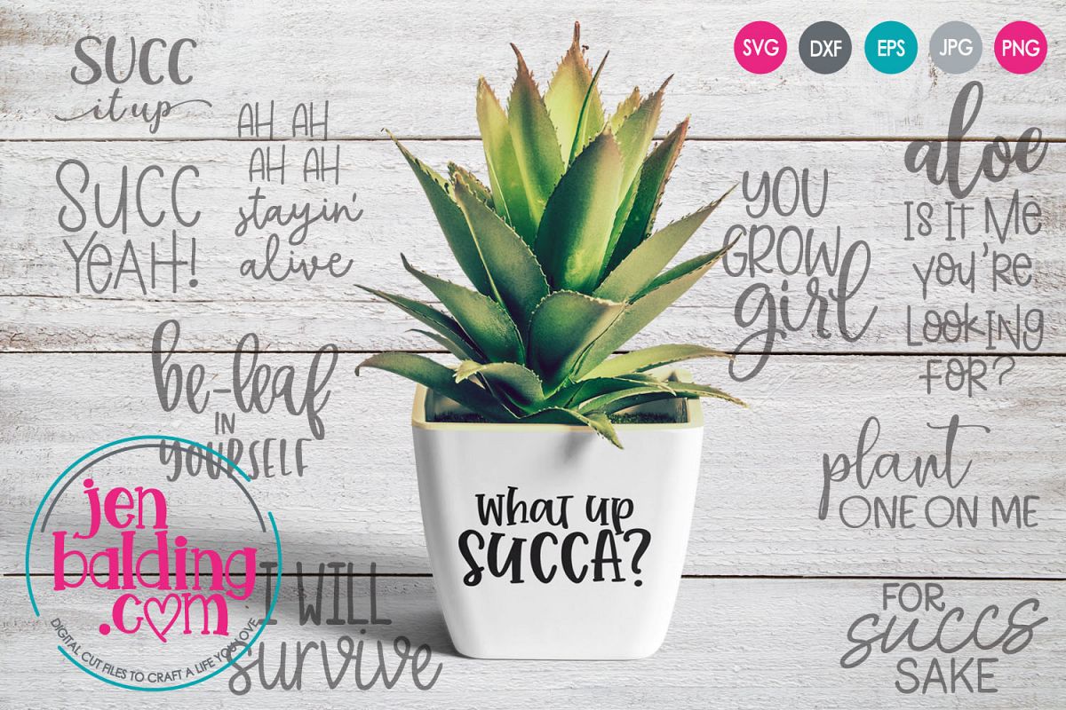 Succulent Pun SVG Bundle example image 1