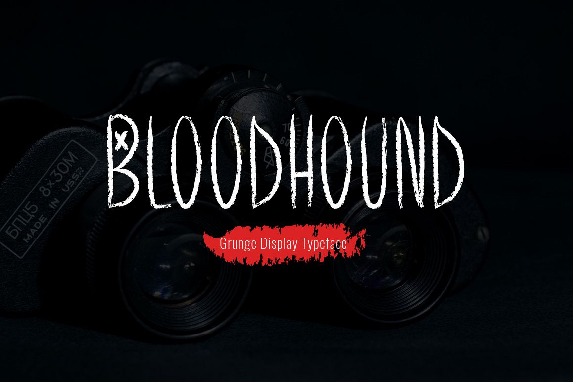 Bloodhound example image 1