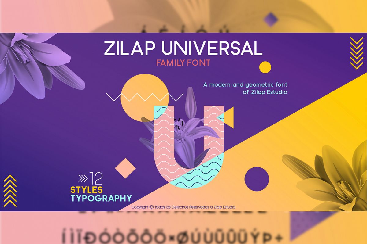 Zilap Universal example image 1