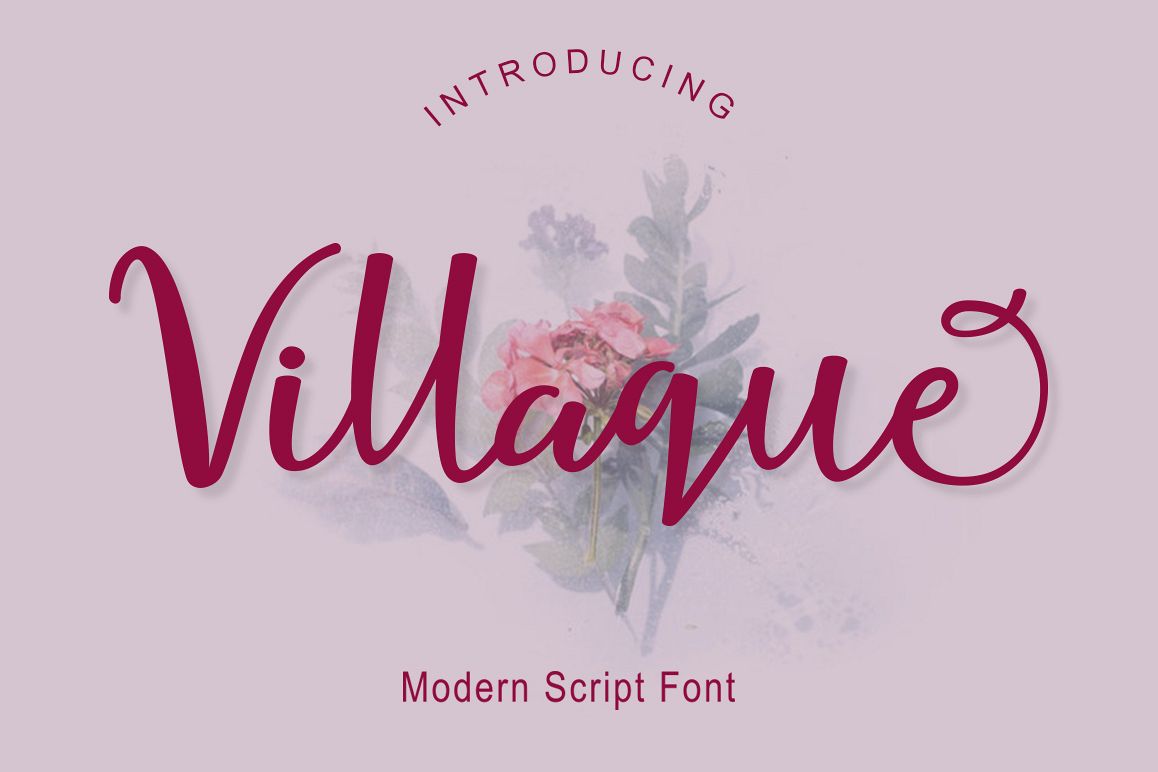 Villaque Script example image 1
