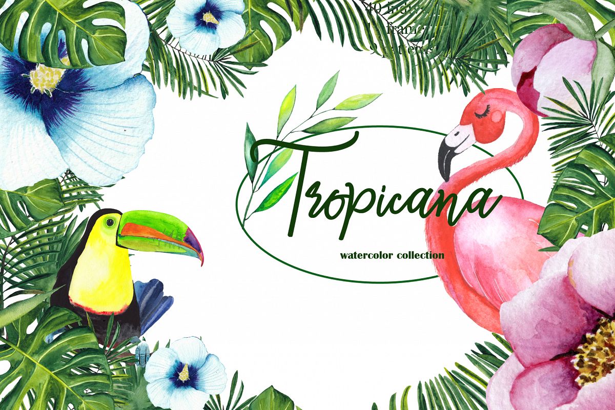 Tropical watercolor collection example image 1