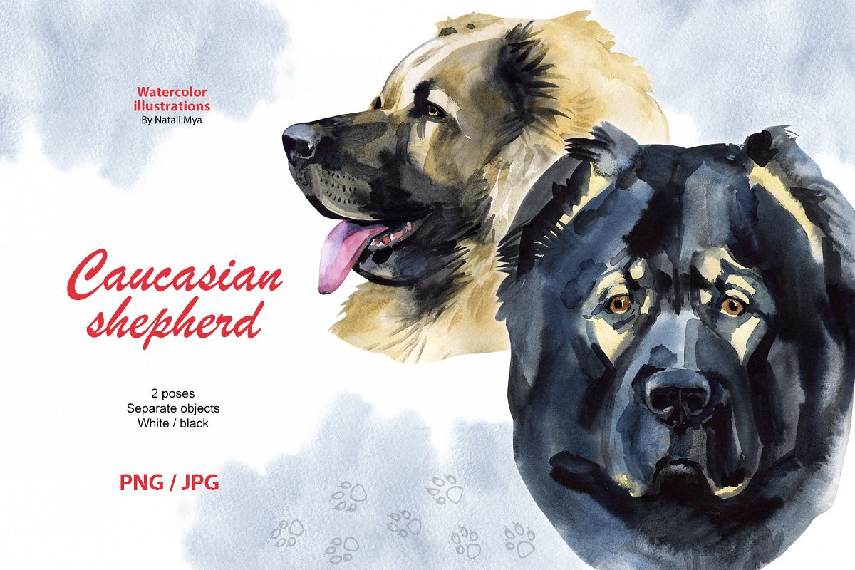 Watercolor dog. Caucasian shepherd example image 1