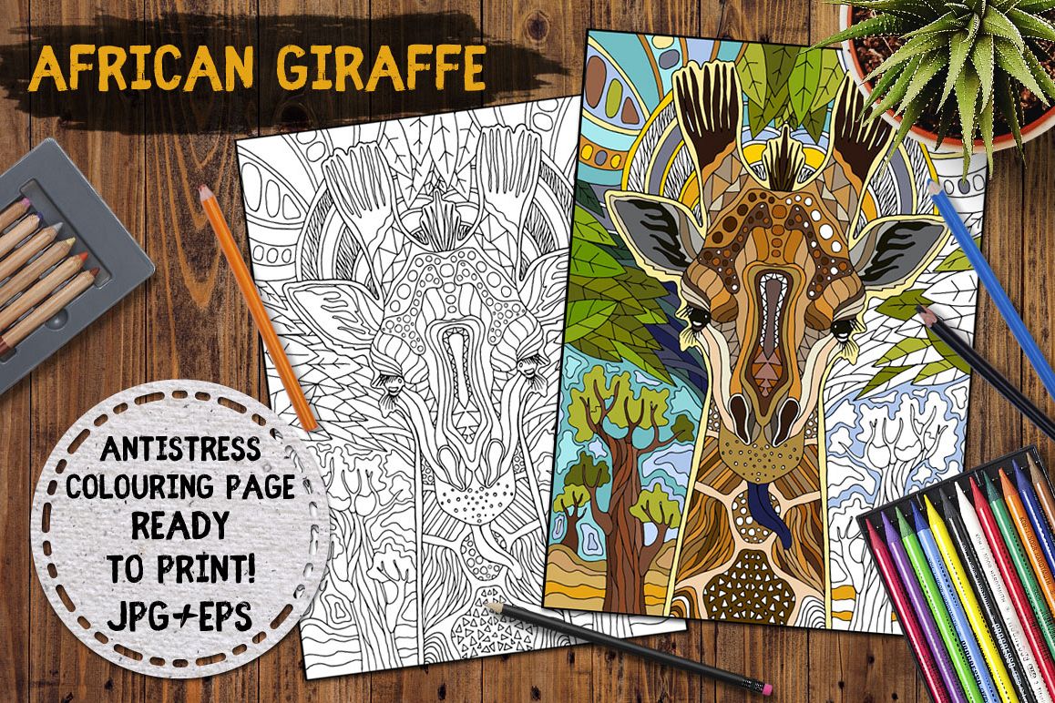 African Giraffe example image 1
