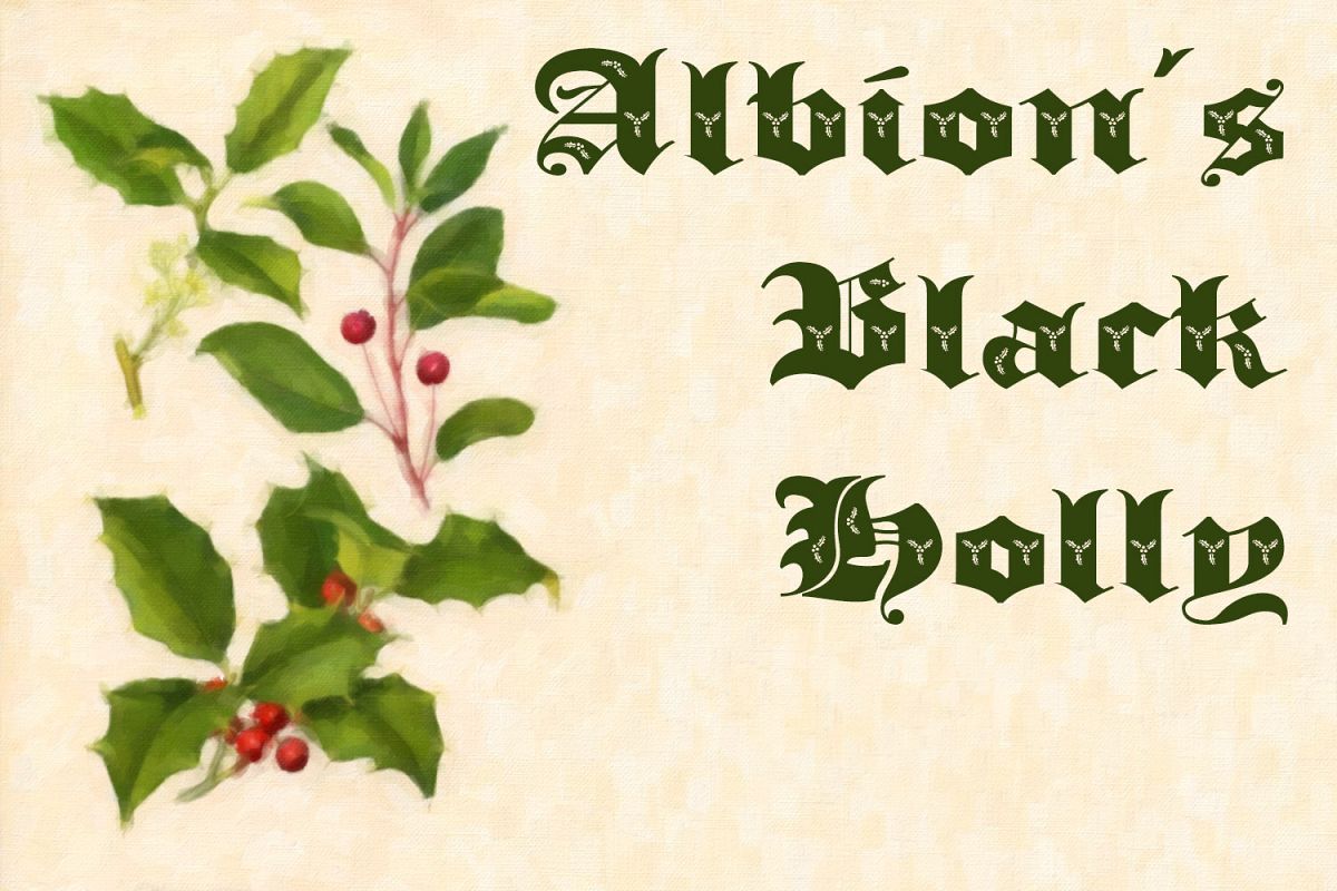 Albion's Black Holly example image 1