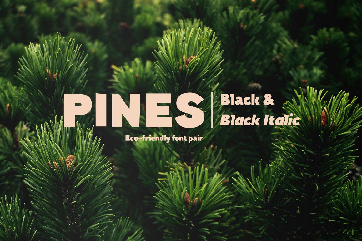Pines Black & Pines Black Italic example image 1