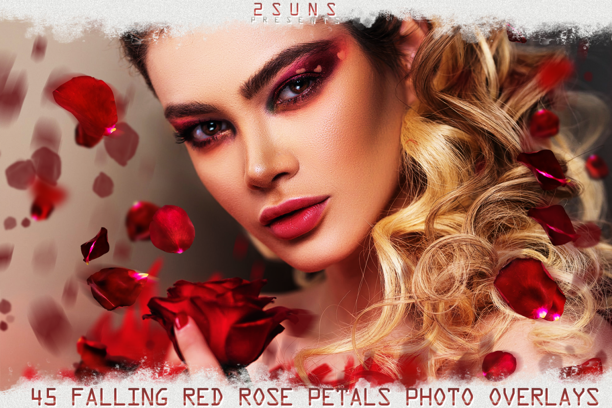 Falling Rose Petals Photo Overlays , Rose Petals, Red Rose example image 1