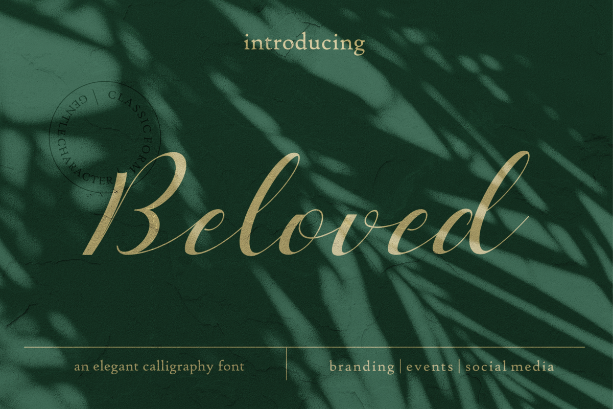 Beloved Typeface example image 1