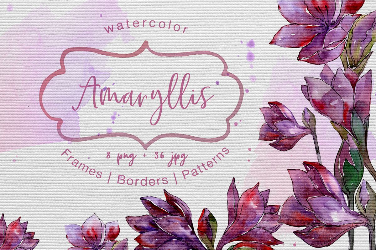 Purple amaryllis PNG watercolor set example image 1