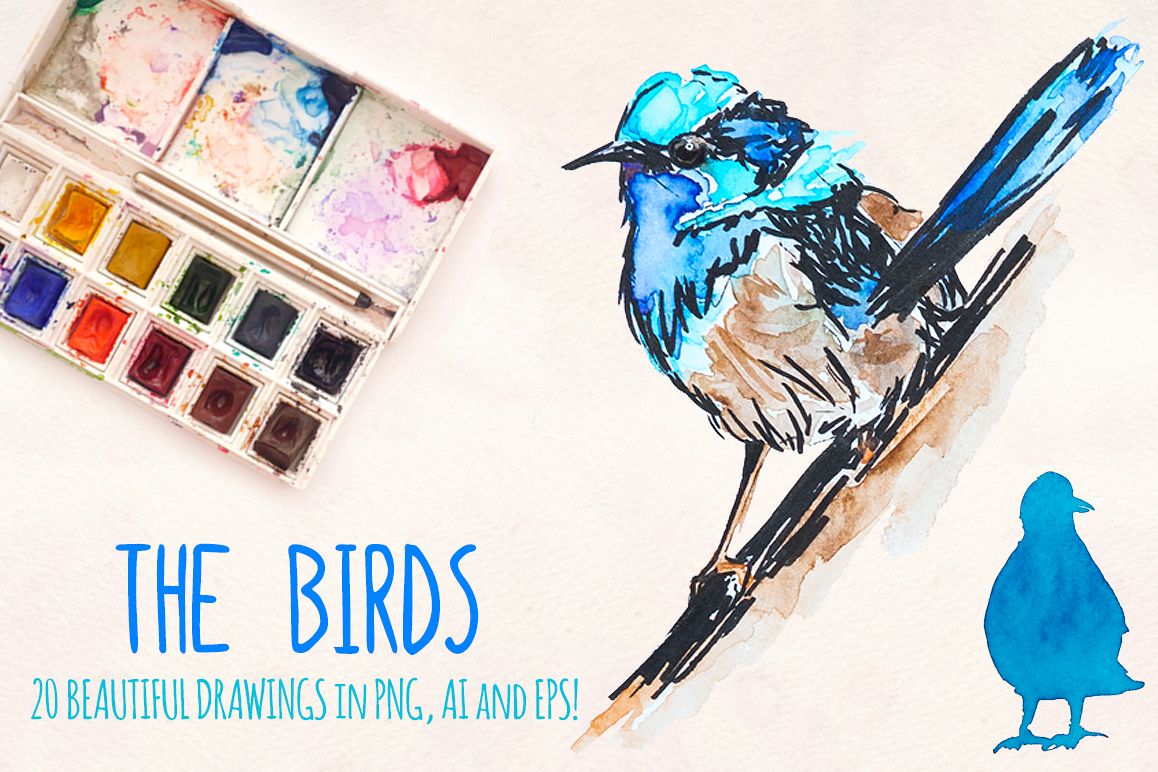 20 Colorful Fancy Bird Watercolor Graphics example image 1