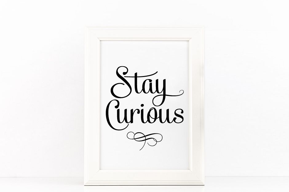 Stay Curious Poster Inspirational Quote to Print in Black and White + SVG files example image 1
