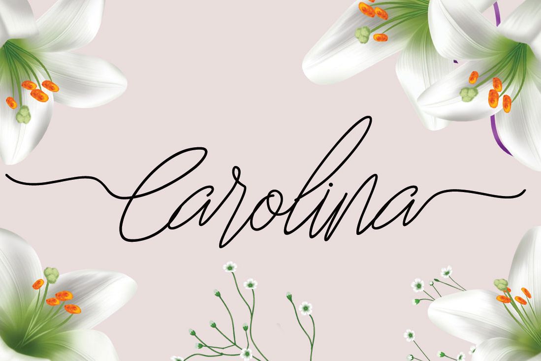 Carolina example image 1