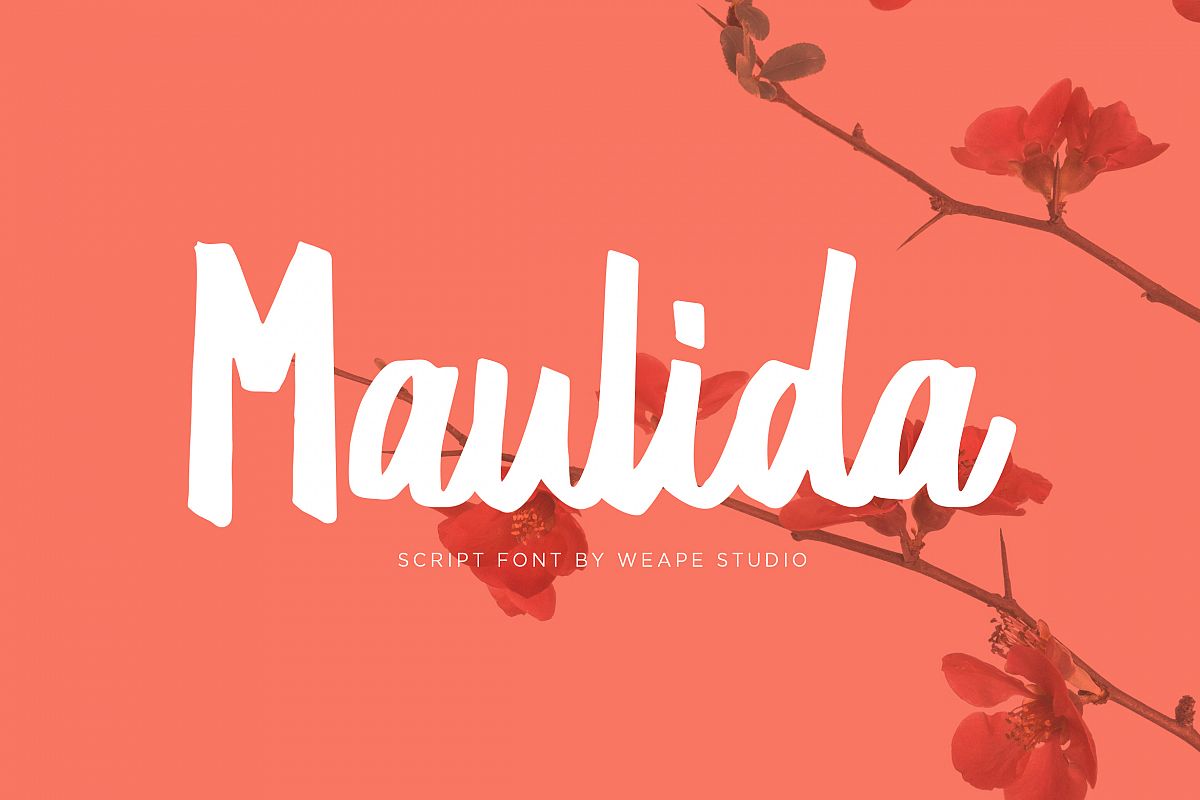 Maulida example image 1