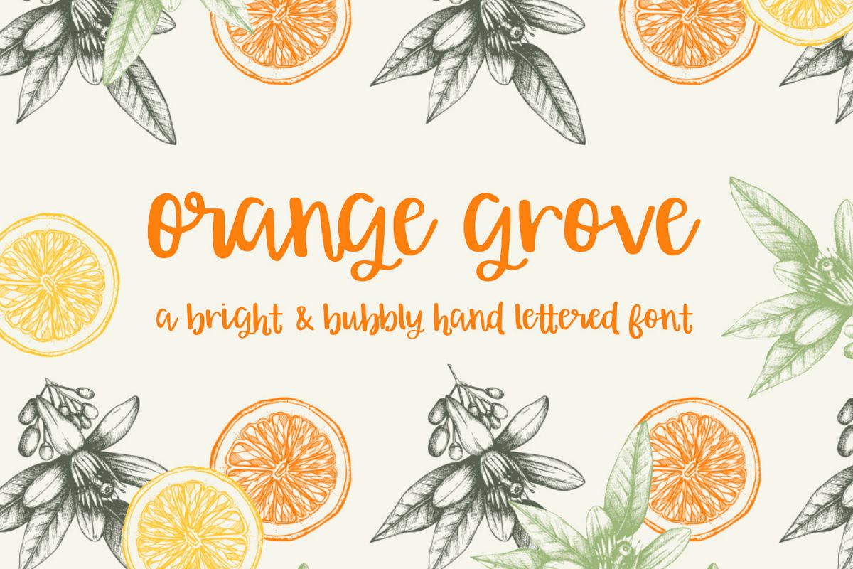 Orange Grove Script example image 1