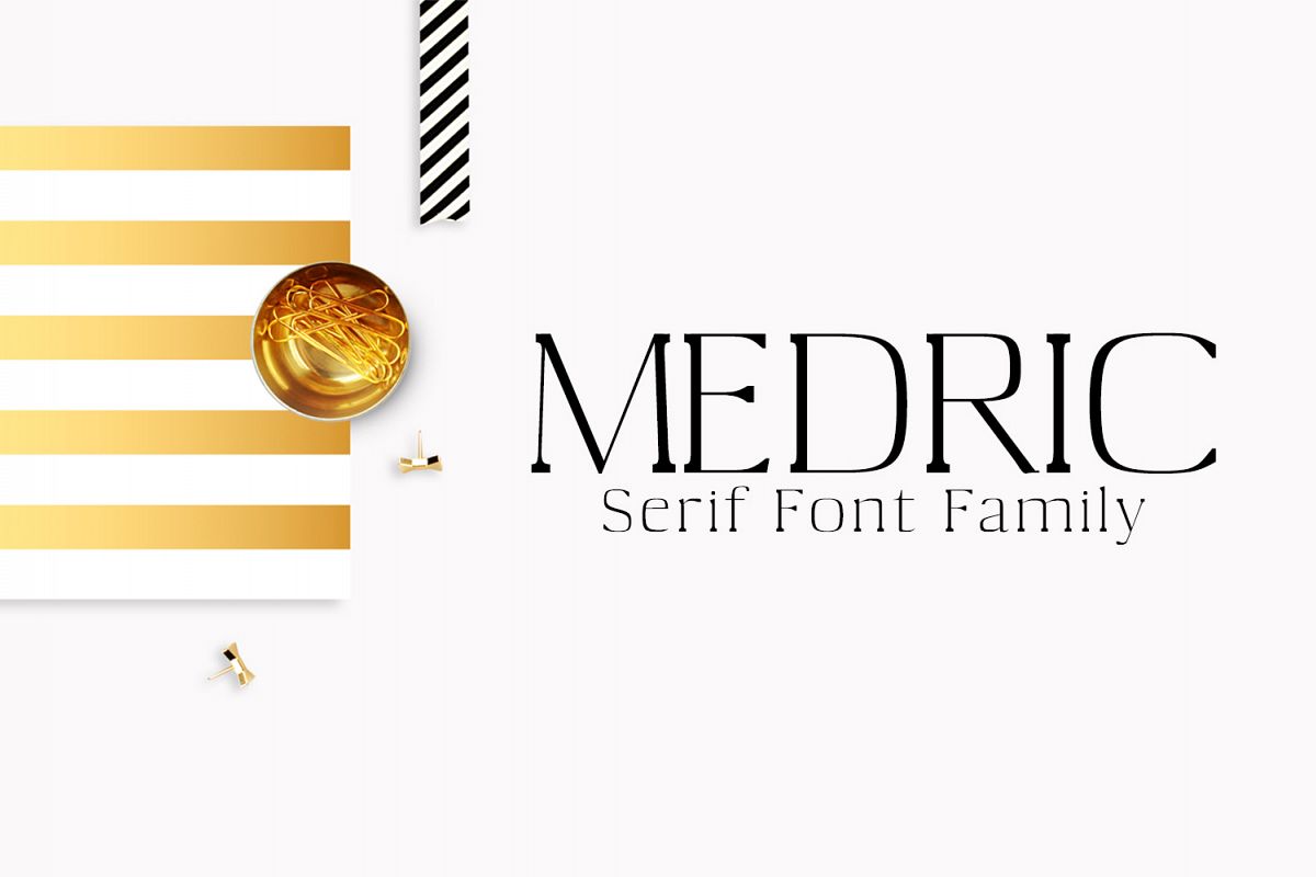 Medric Serif Font Family example image 1