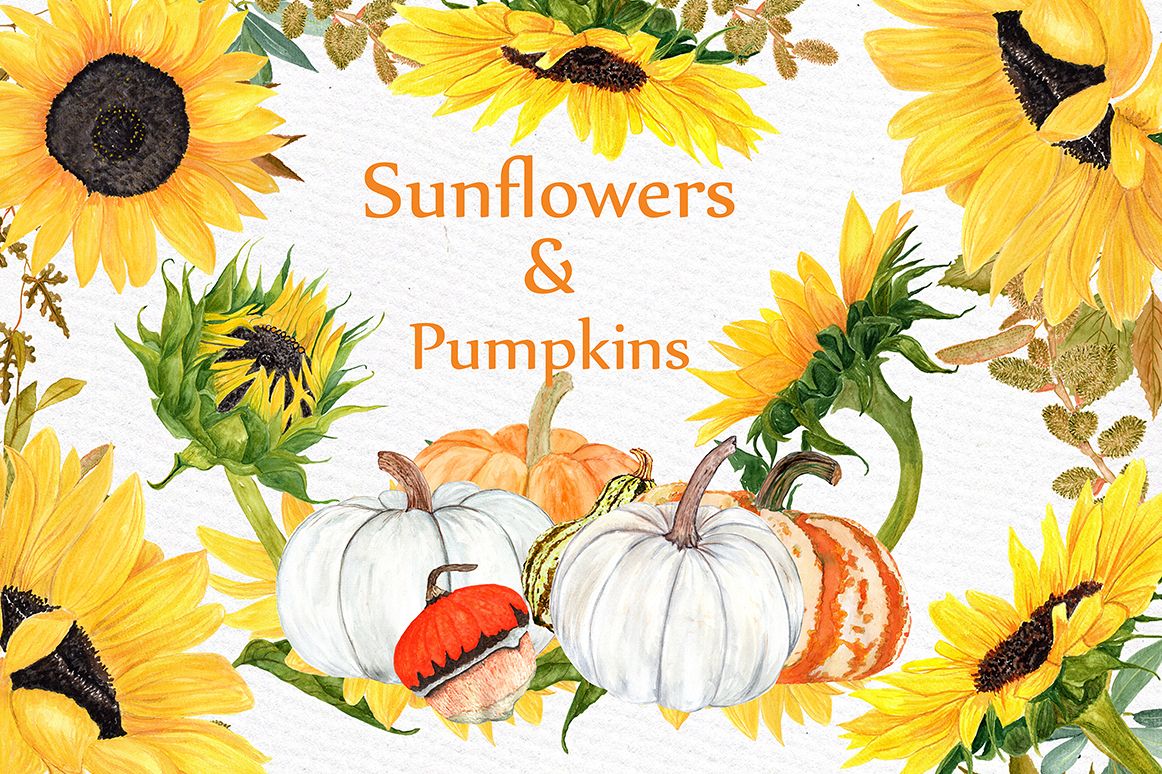 Watercolor Sunflower clipart example image 1