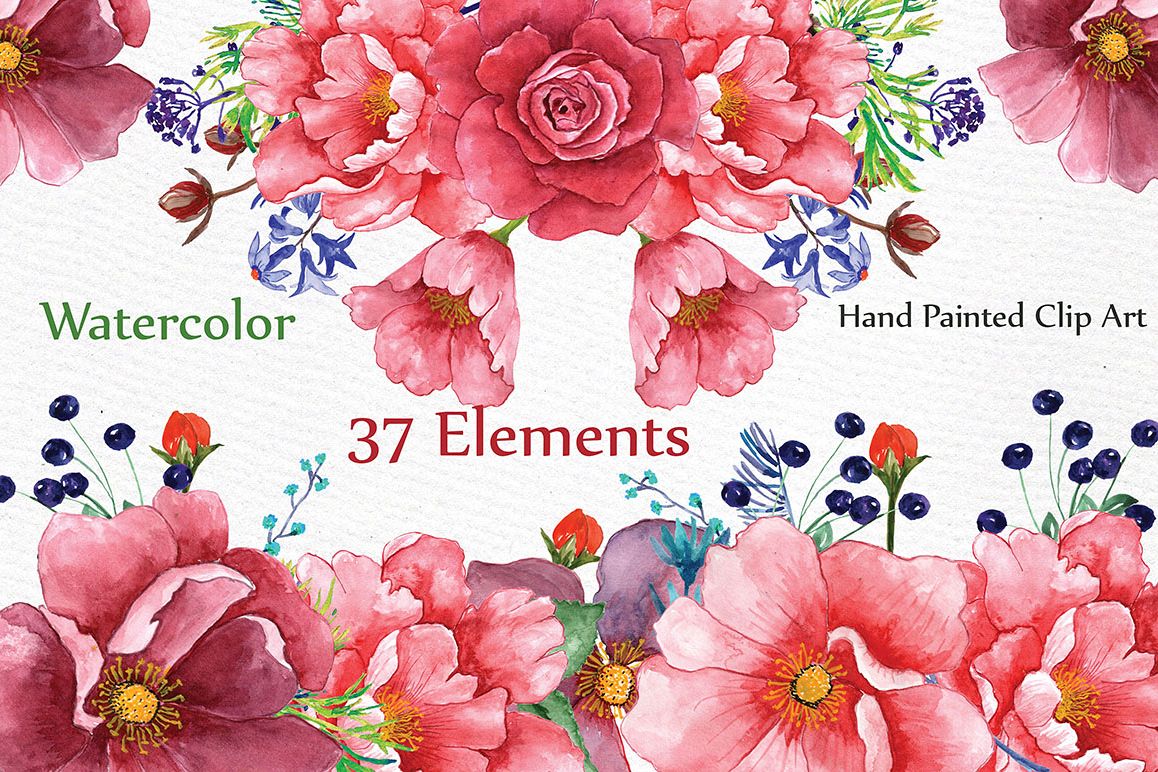 Watercolor peonies clip art example image 1