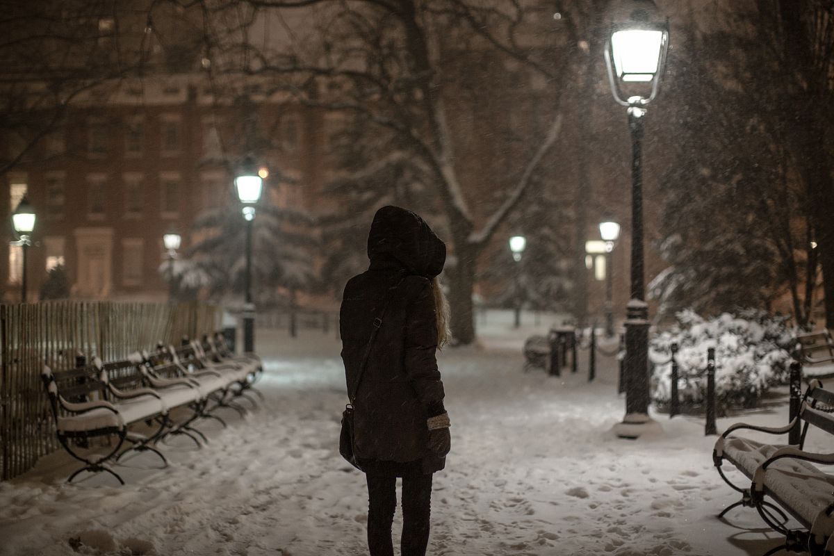 Girl on a winter day walking in Washington square park. example image 1