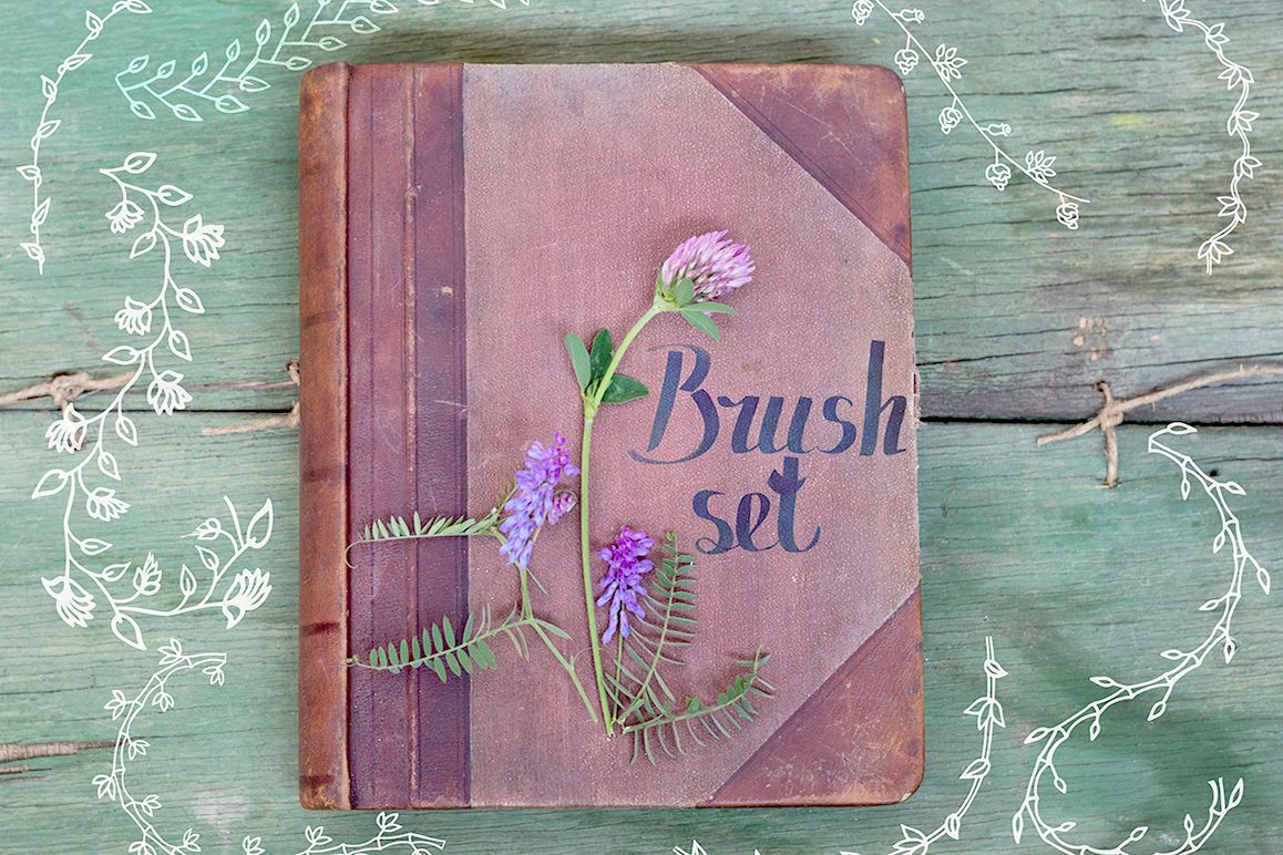 Set of brushes for illustrator example image 1