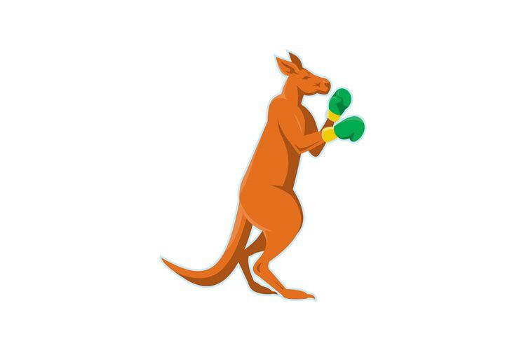 kangaroo boxer boxing retro example image 1