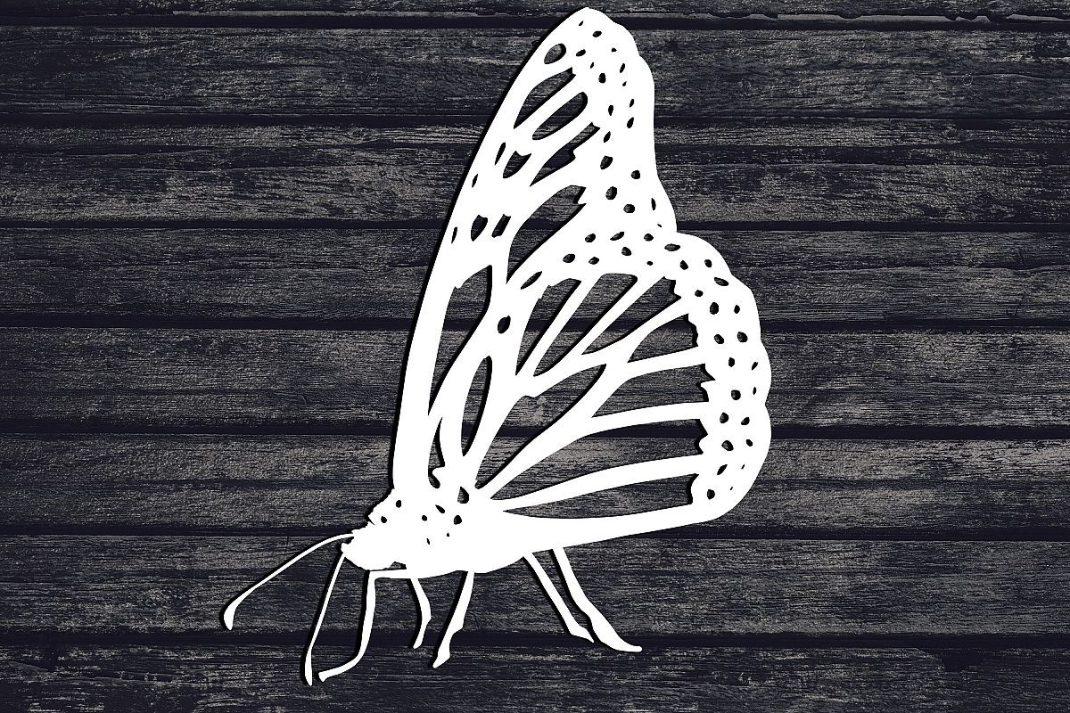 Butterfly Svg, Bug Svg, Insect Svg, Animal Svg, Monarch Svg example image 1