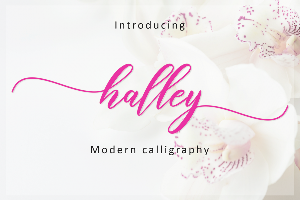 Halley Script example image 1