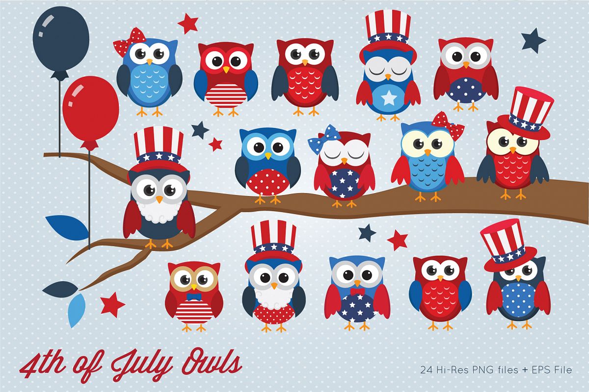 4th of July Owls Clipart example image 1
