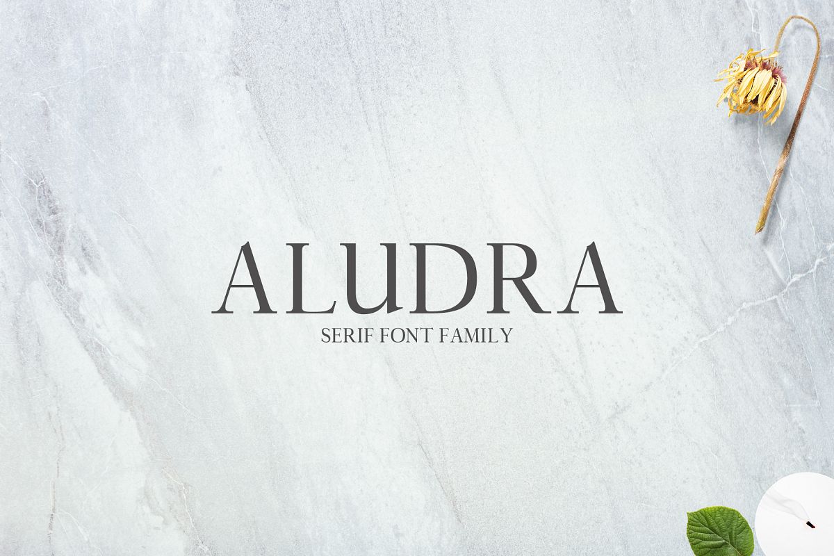 Aludra Serif 12 Font Family Pack example image 1