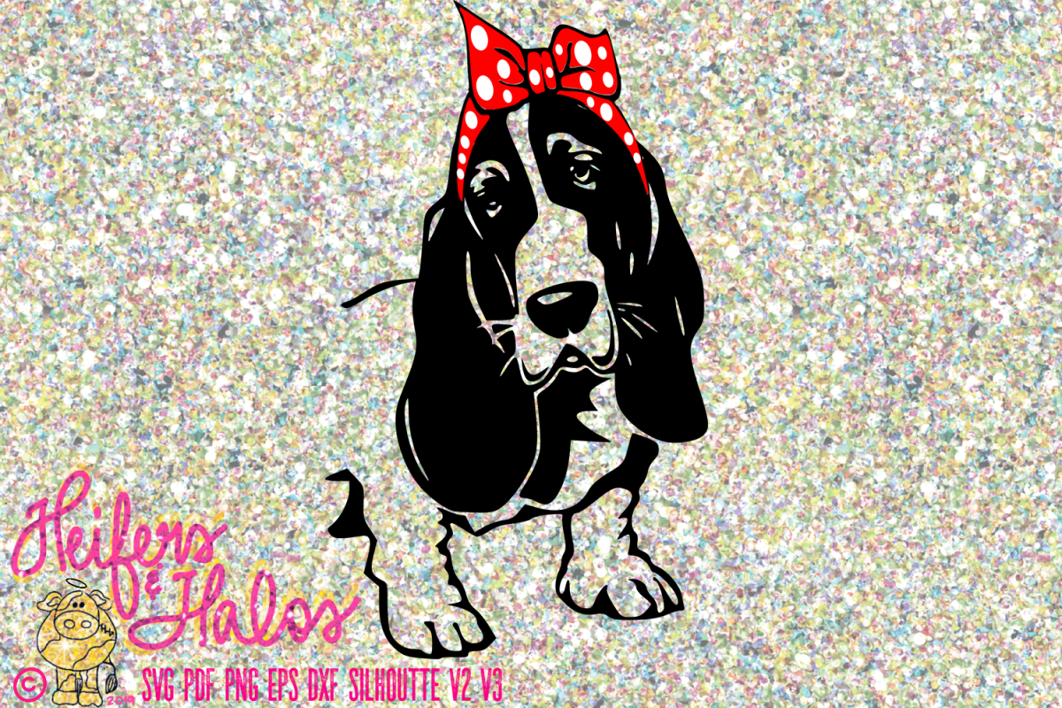 Basset Hound with Bow Bandana example image 1