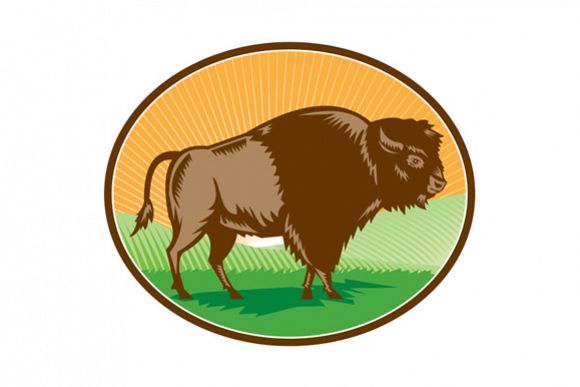 American Bison Oval Woodcut example image 1