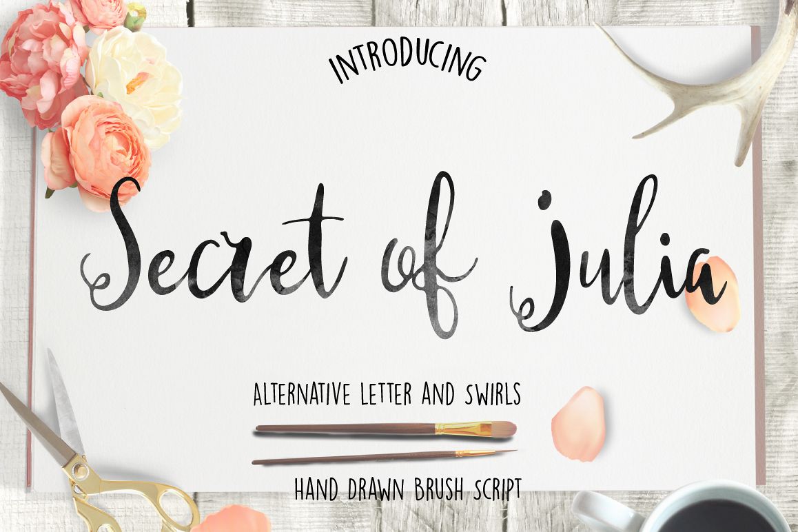Secret of Julia example image 1