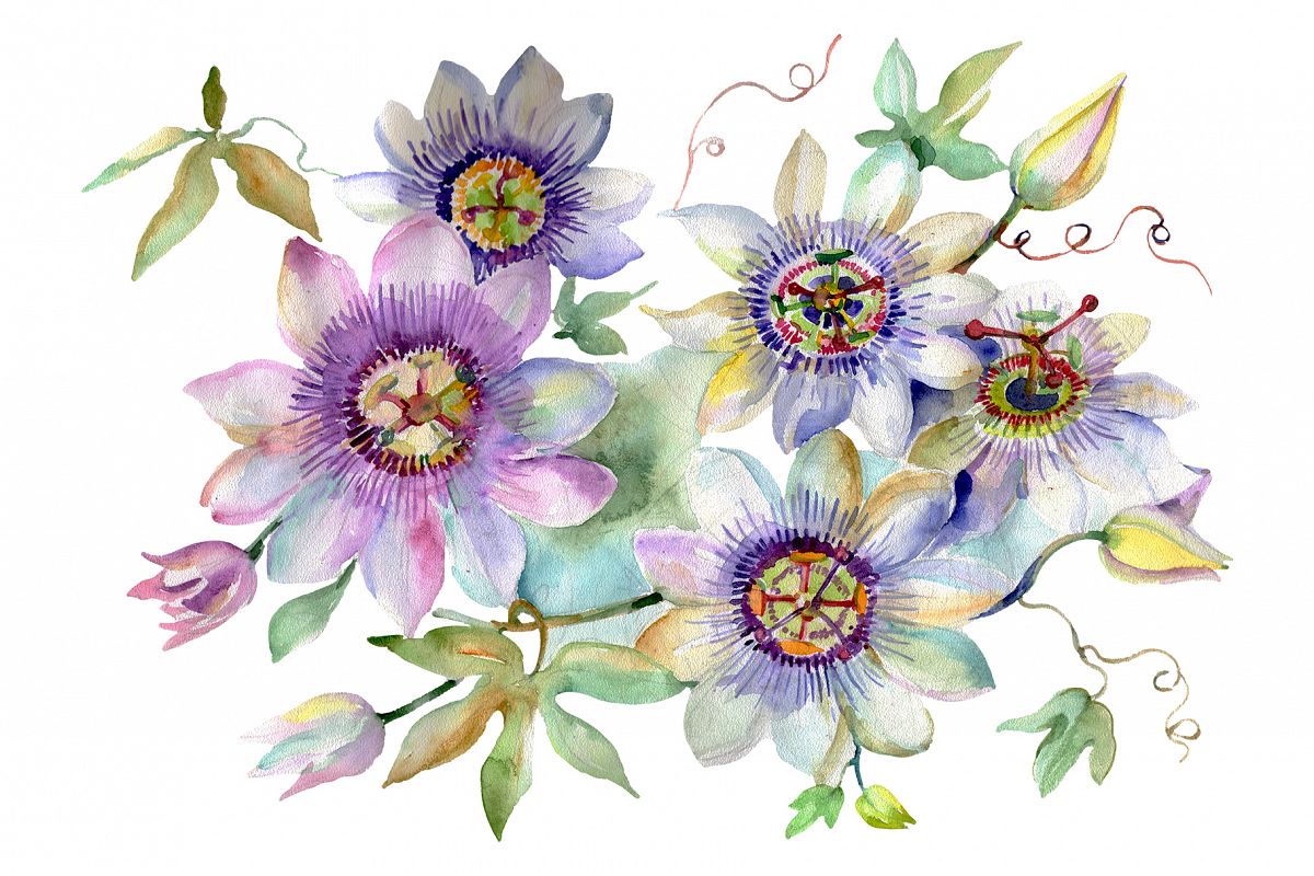 Bouquet of spring hello watercolor png example image 1