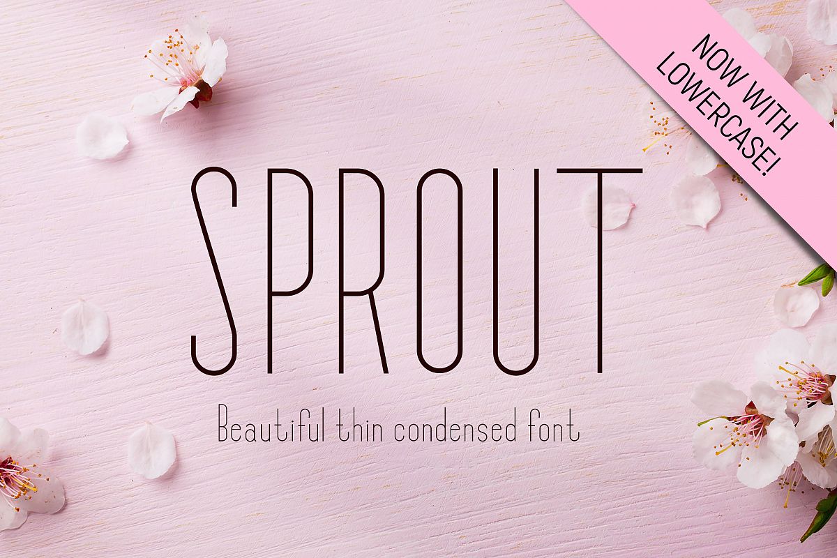 Sprout - Sans Serif Font example image 1