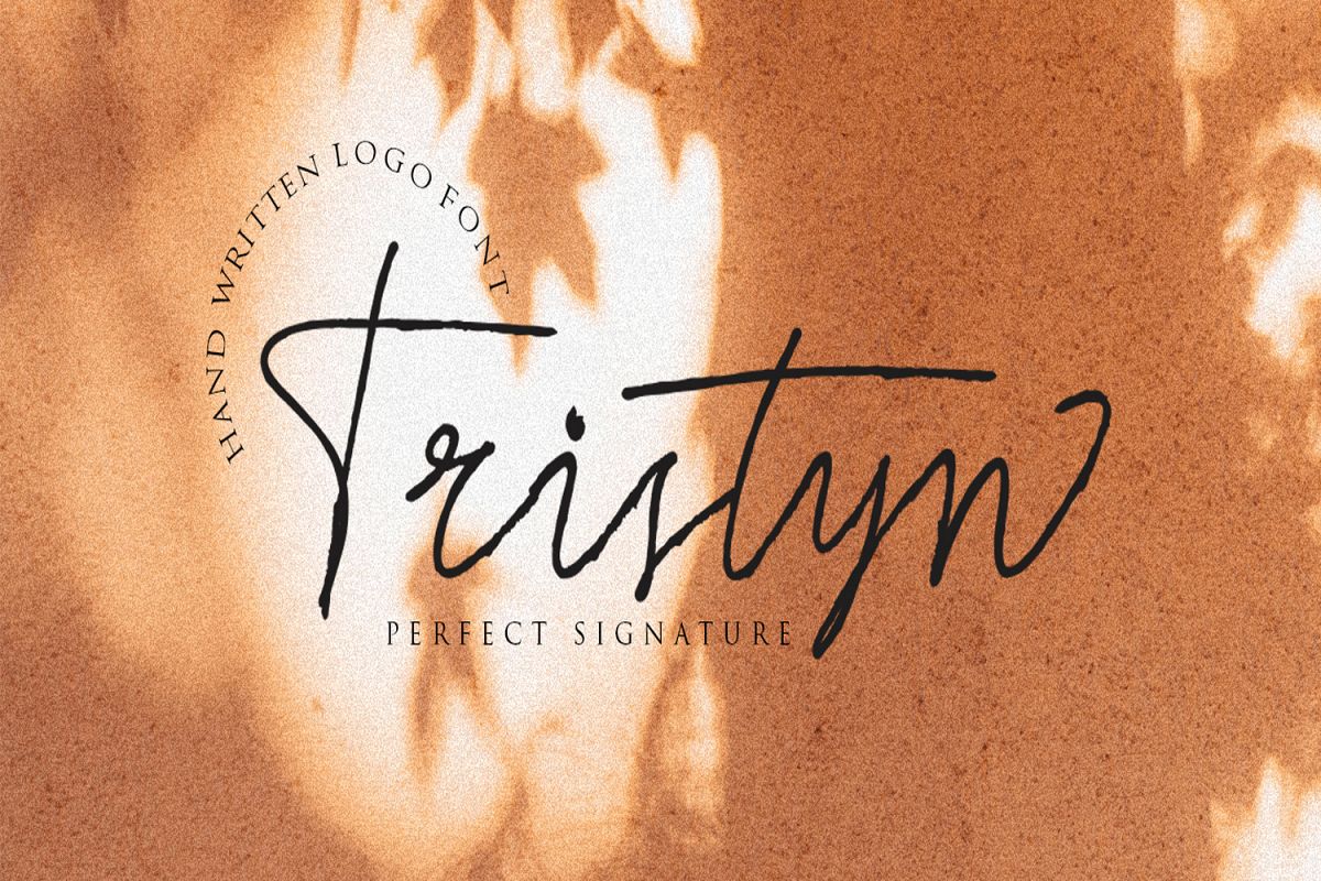 Tristyn Signature Typeface example image 1