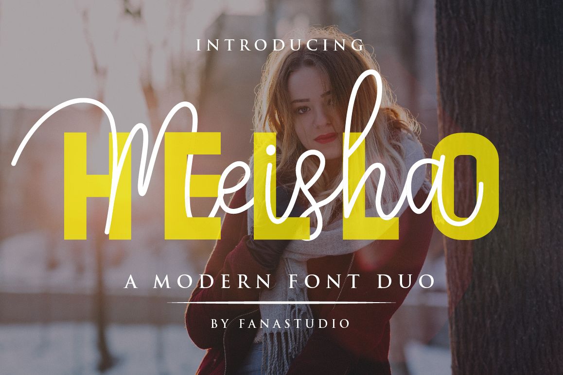 Hello Meisha a Modern Font Duo example image 1