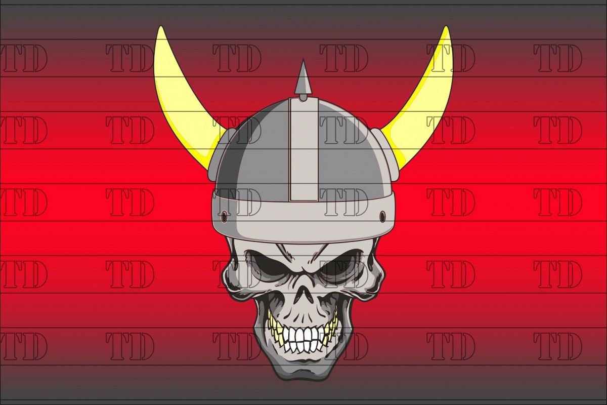 Viking skull example image 1